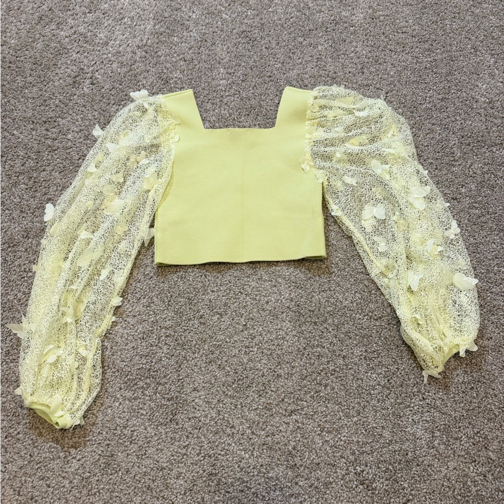 Free People Flutter By Longsleeve Mesh Crop Top XS - Picture 1 of 5